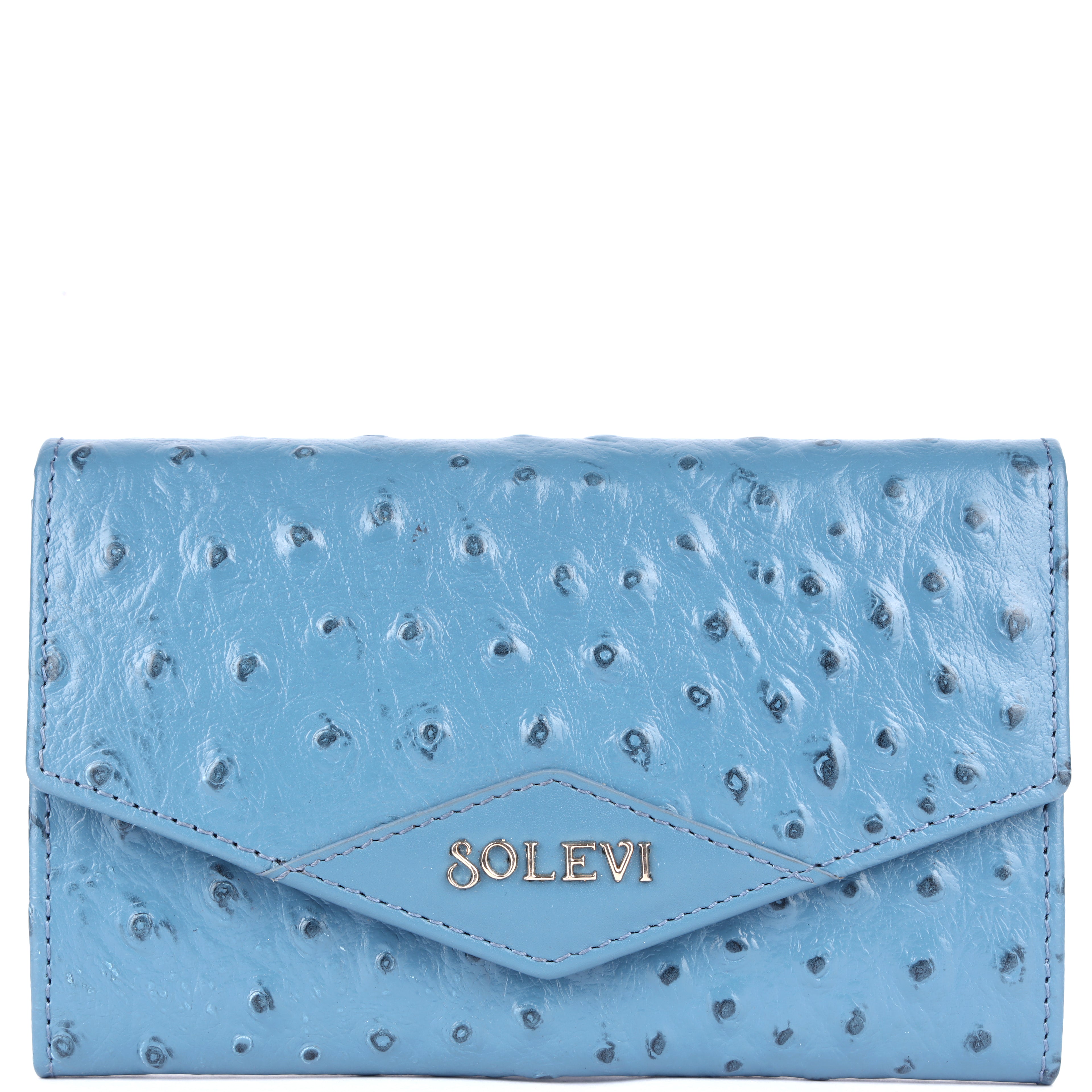 Almere Genuine Leather Wallet for Women | Vintage Blue Long Wallet