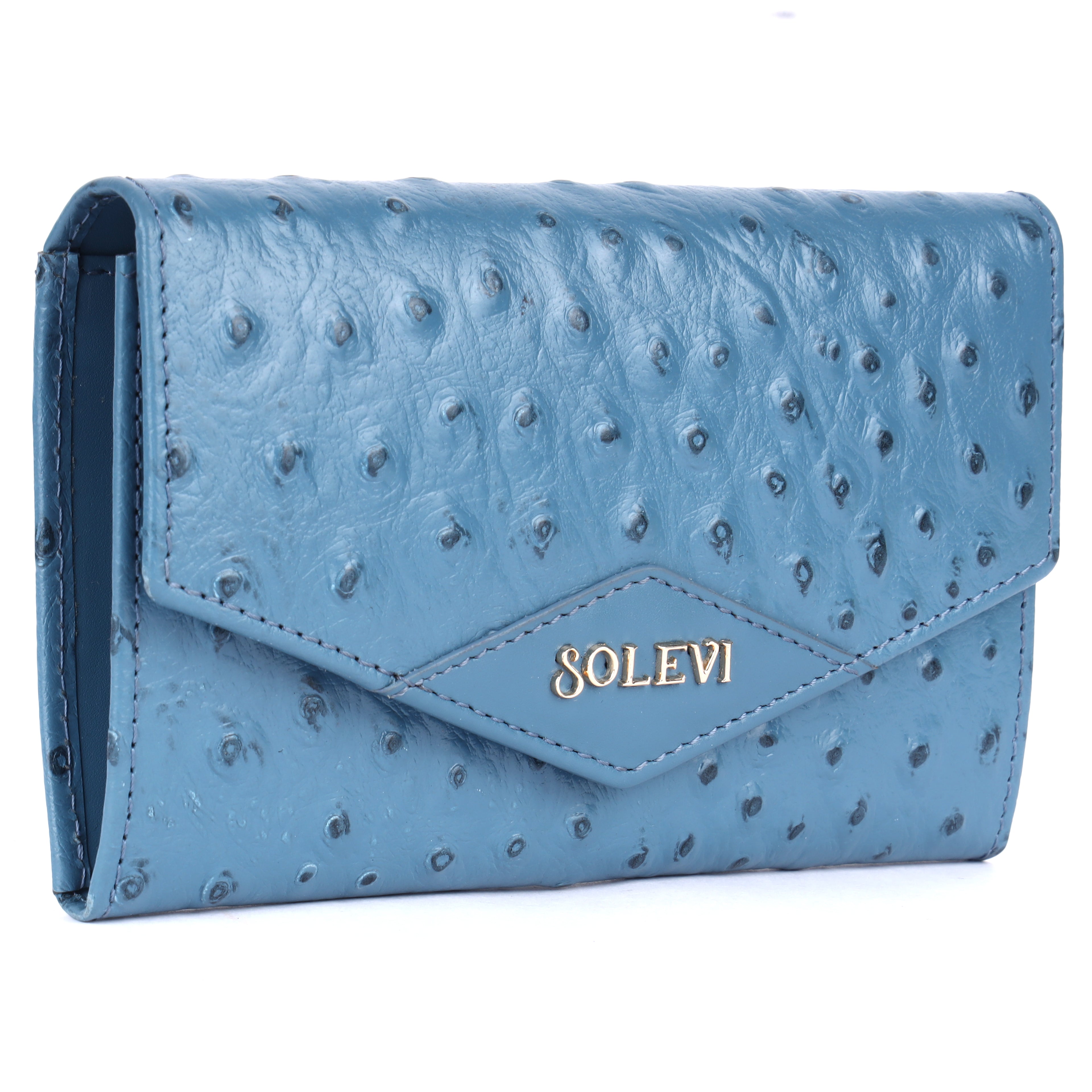 Almere Genuine Leather Wallet for Women | Vintage Blue Long Wallet