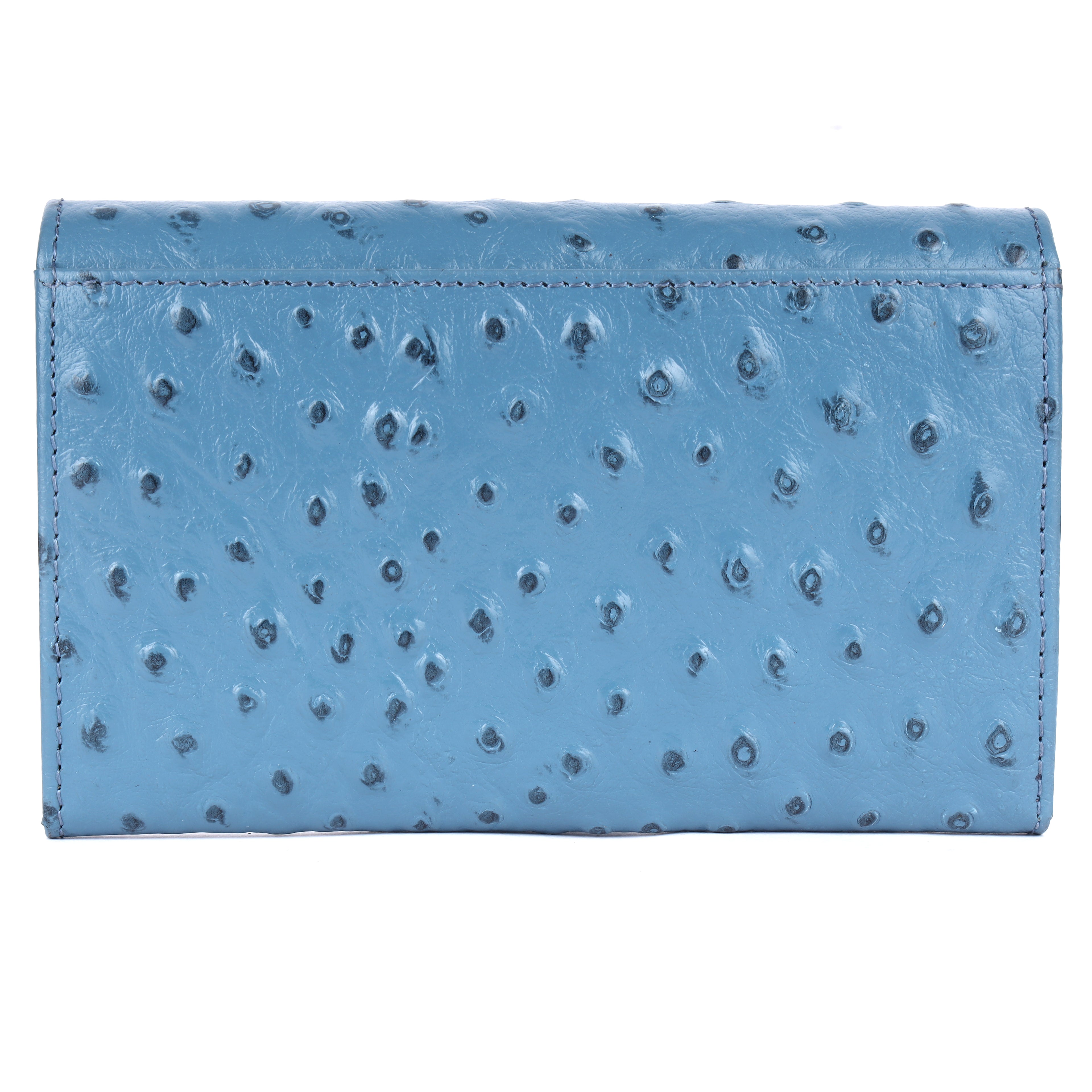 Almere Genuine Leather Wallet for Women | Vintage Blue Long Wallet